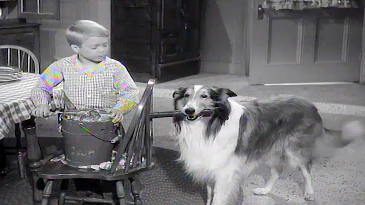 Lassie❄️🎄 A Christmas Story❄️🎄Christmas Special ❄️🎄Christmas Movie For Kids ❄