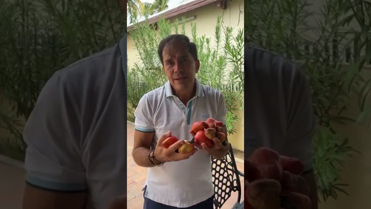 Marañón y sus propiedades curativas.