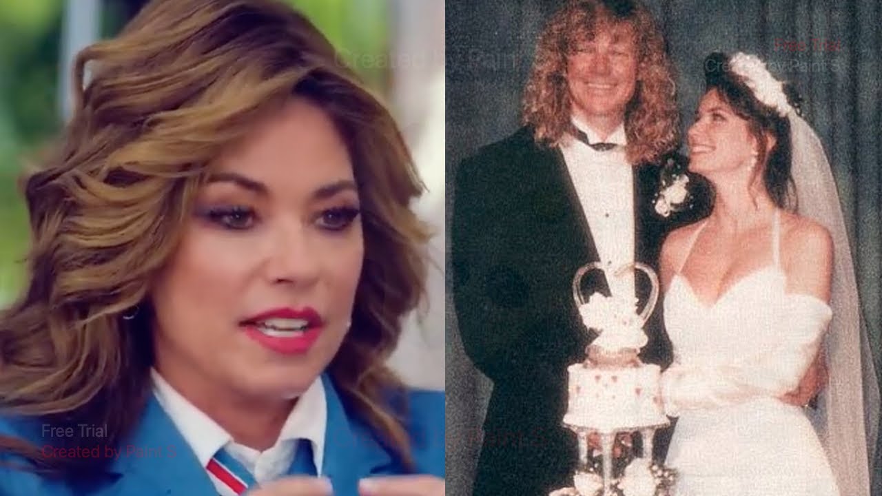 Shania Twain Wants To Work With Ex-Husband Again