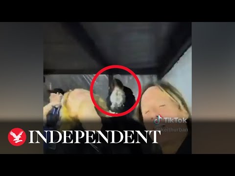 Bo Burnham and Phoebe Bridgers kiss in back of Keith Urban's TikTok video
