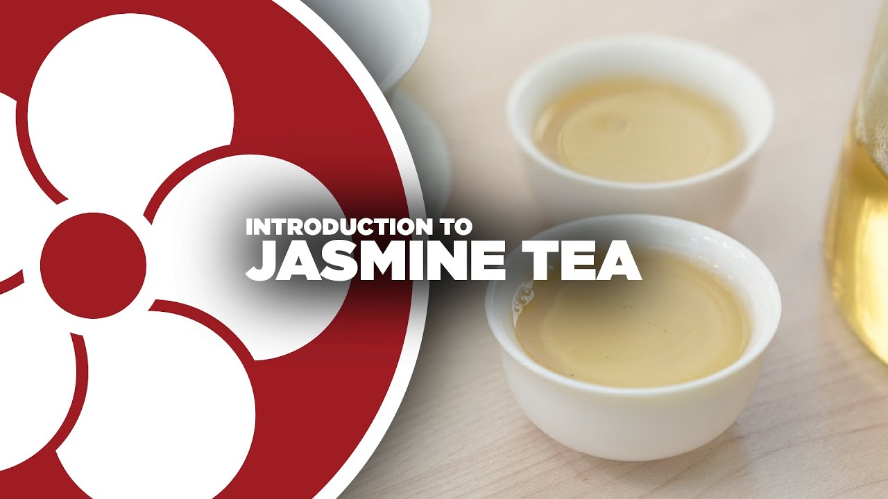 Intro to Jasmine Tea