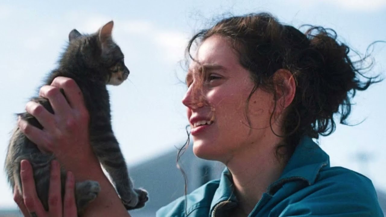 We Saw 25 Movies In 6 Days Here's What The Cast & Crew Of These Sundance Films Revealed About 2025'