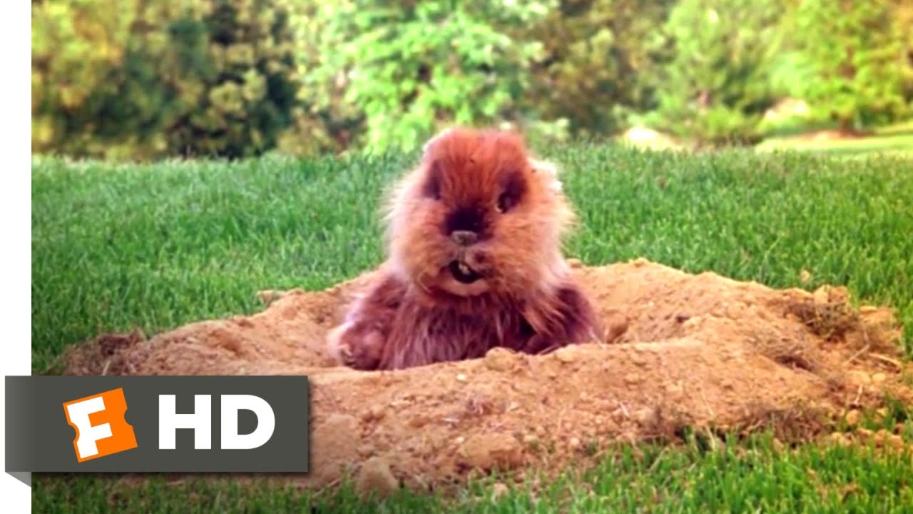 Caddyshack (1980) - How About a Nice, Cool Drink? Scene (3/9) | Movieclips