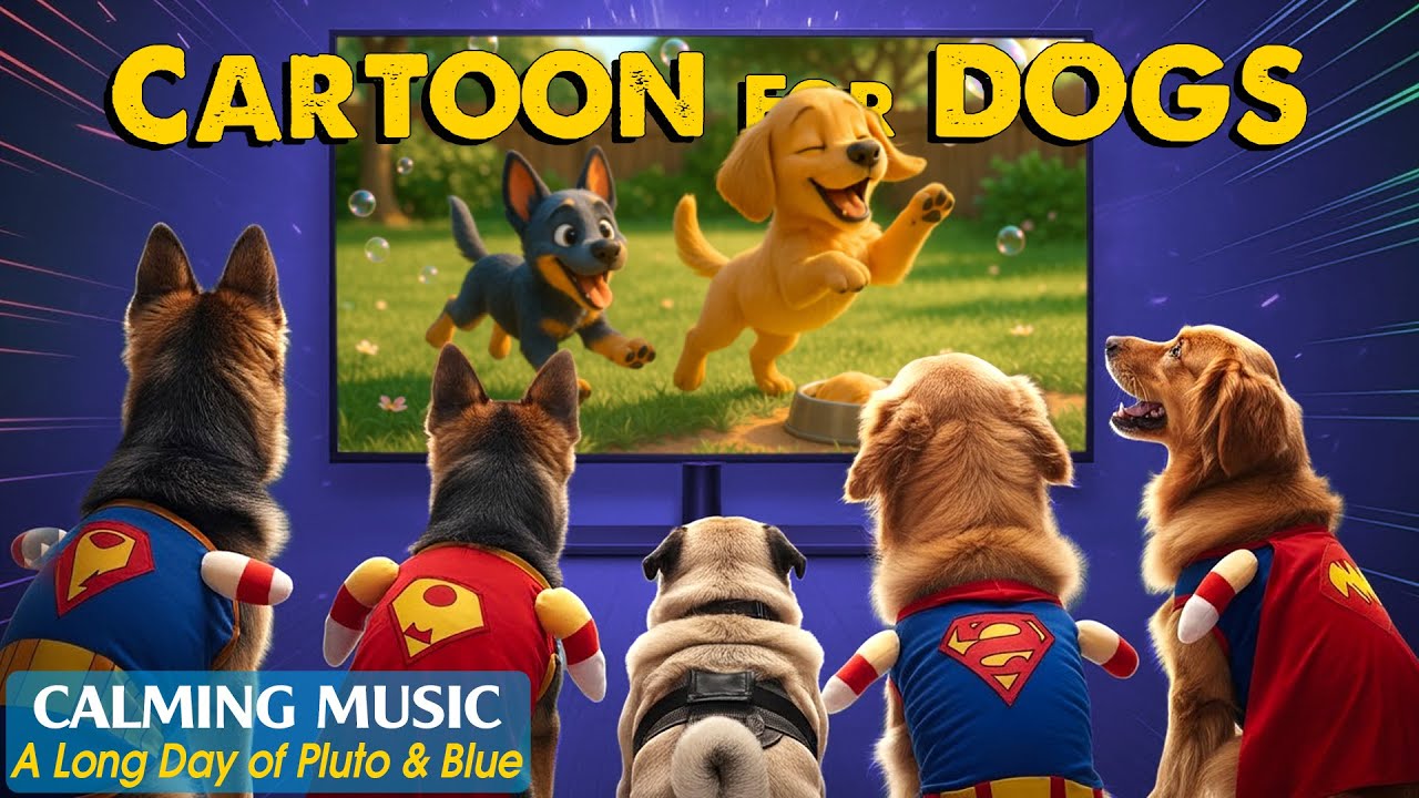 (NO ADS) Dog Cartoon: TOP Entertaining Cartoon for Dogs Relaxation - Dog TV 🐶 Calming Music for Dogs