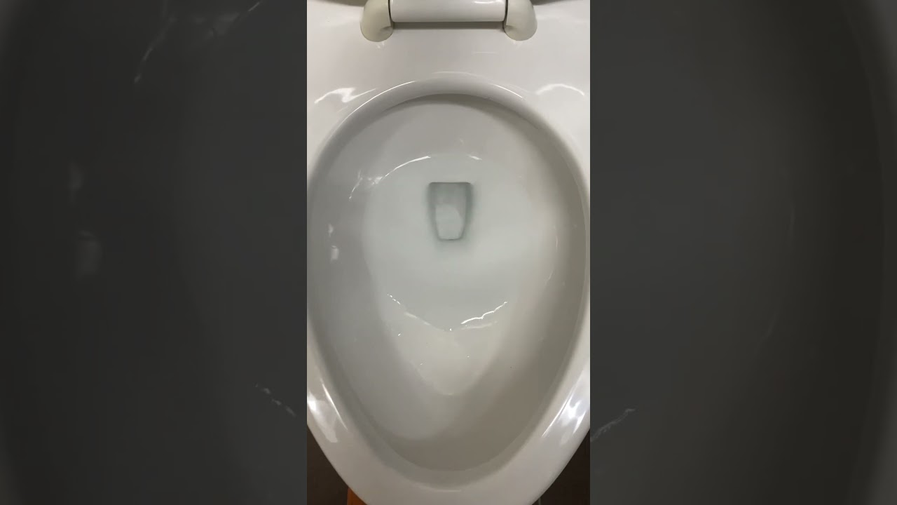 Toto CT708 at AMC Parkway Pointe 15