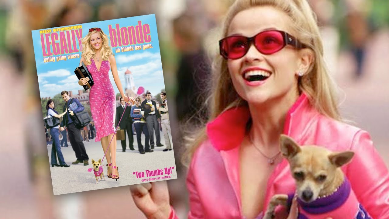 Legally Blonde Cast: Where Are They Now?