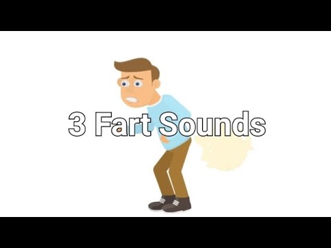 3 Fart Sounds!