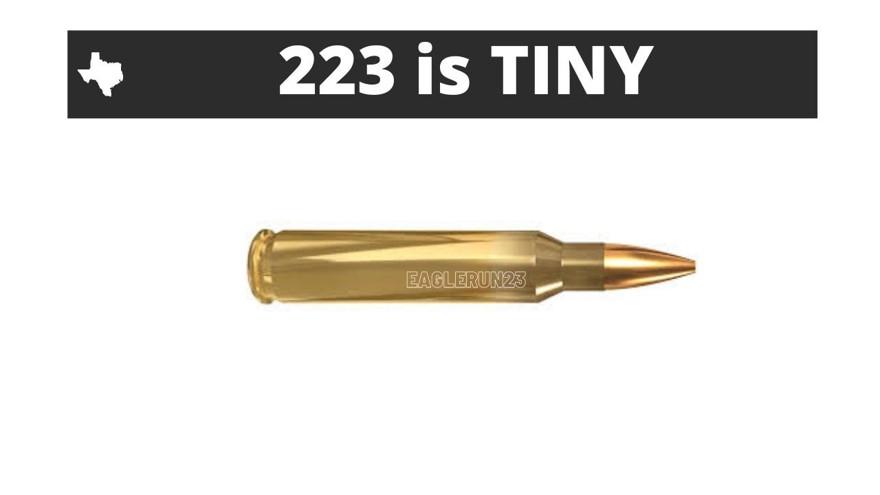 6.5 Creed From Ballistic Advantage and we laugh at Colion Noir Debate