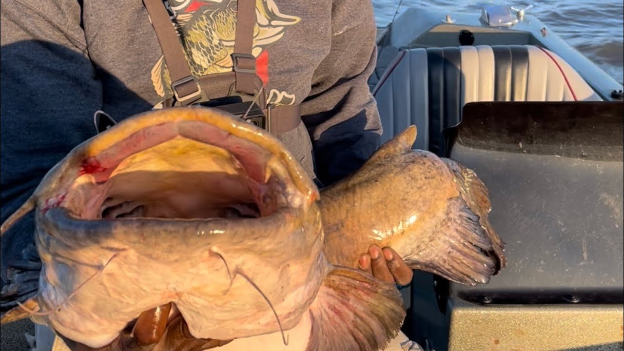 Thought I HOOKED A TREE !! Massive 30+ lb fish (CAST TO CATCH FOOTAGE)