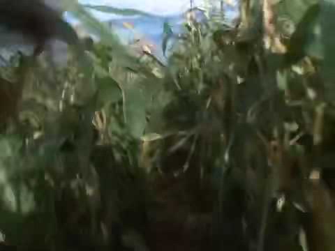 Children Of The Corn 1984 Joseph’s death