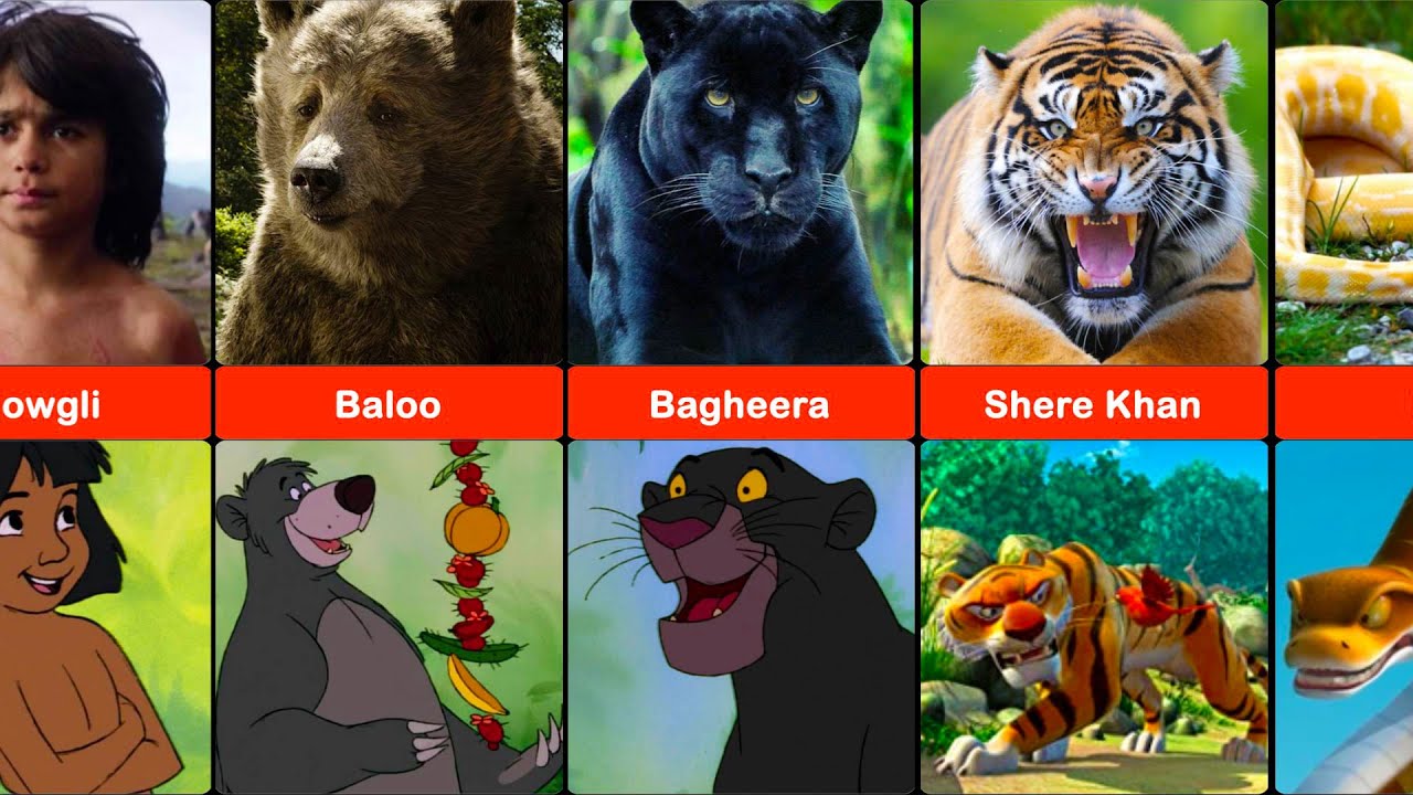 Comparison: The Jungle Book Characters In Real Life