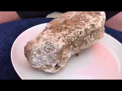 ÁMBAR GRIS VOMITO DE BALLENA CACHALOTE ESPAÑA SPAIN AMBER GRIS