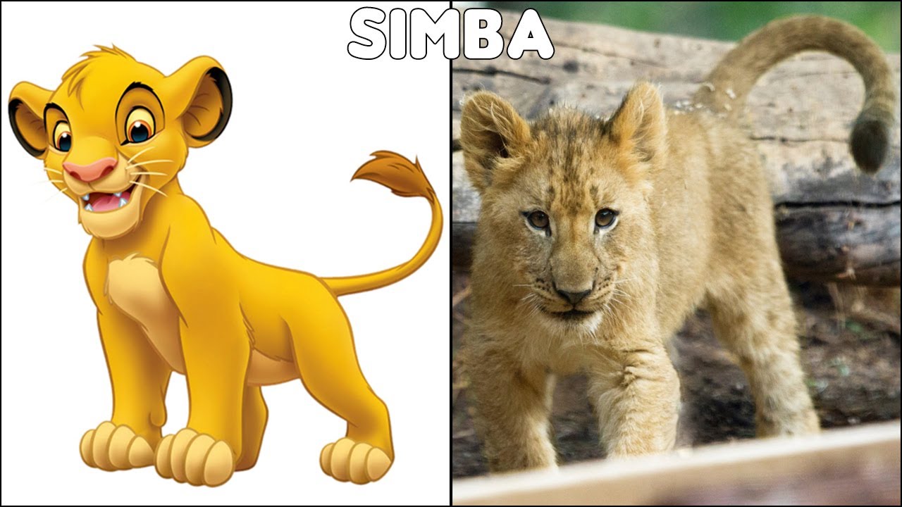 The Lion King Characters In Real Life