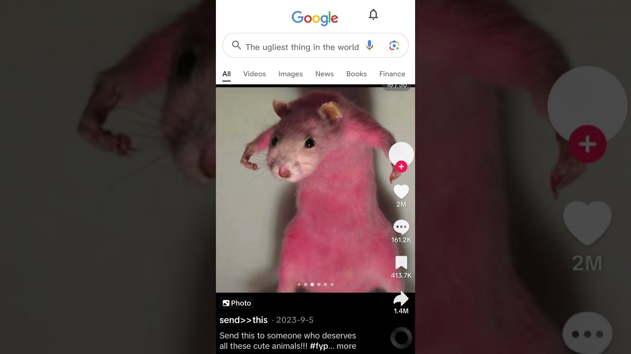 Ugliest Thing In The World ( Excluding Your Mom) #funny #ugly #rat