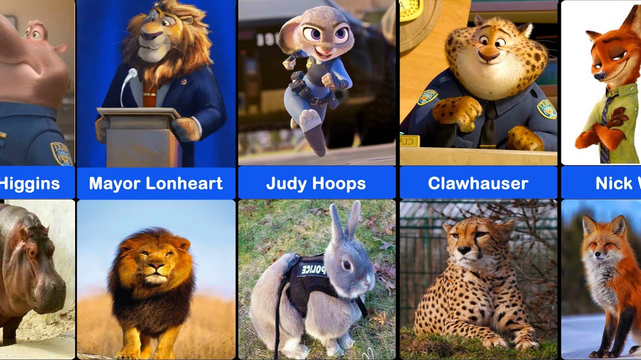 Comparison: All Zootopia Characters In Real Life