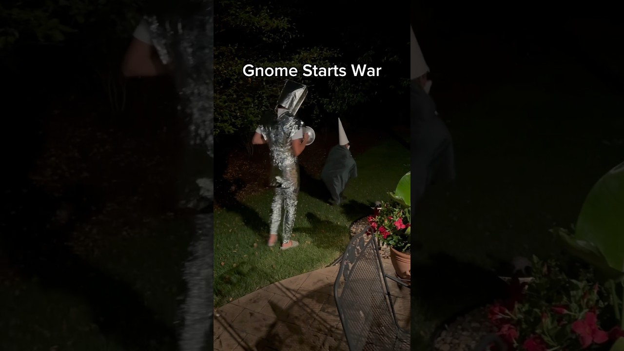 Gnome starts war! (Season 0) #trending #funny #gnome #gnomes #knight #caines
