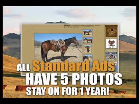 RanchWorldAds.com - Online Ranch Classifieds